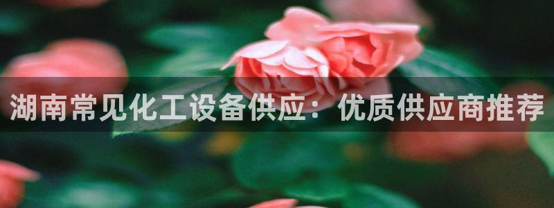 美狮传媒集团简介