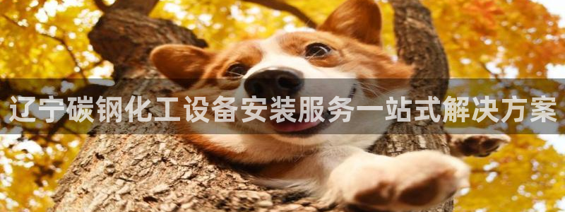 美狮贵宾会会员等级查询
