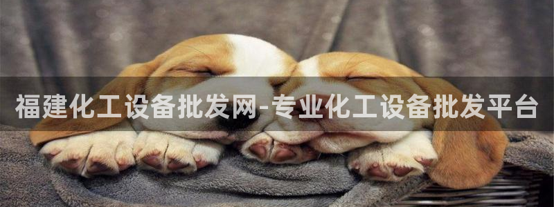 美狮会员卡等级划分表