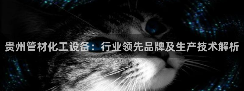 美狮官版2023最新版本下载