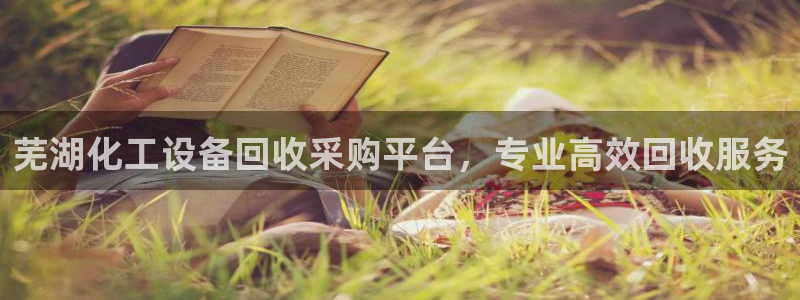 美狮传媒集团简介