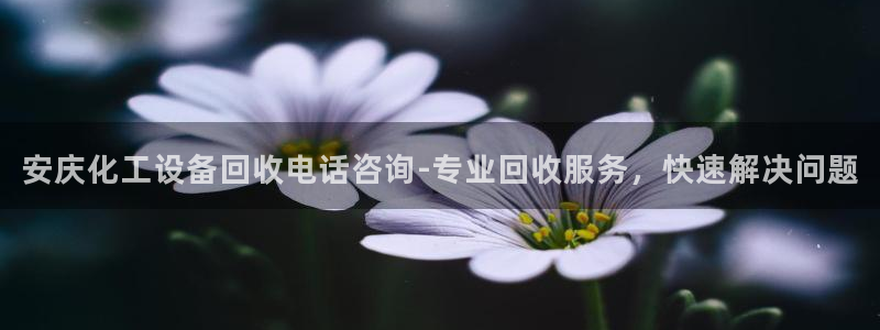 美狮贵宾会客户端下载
