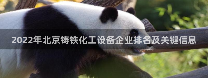 美狮会员充值中心在哪