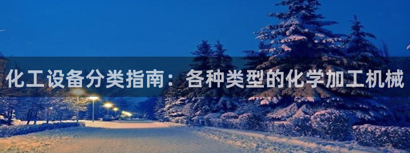 美国美狮集团