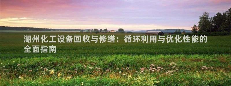 美国美狮集团