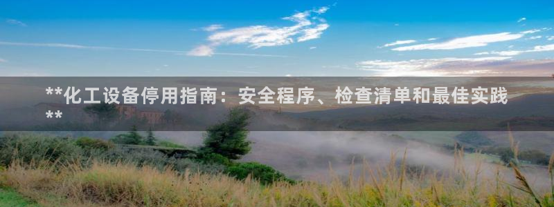 美狮国际控股集团