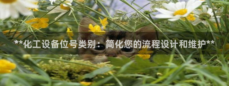 美狮贵宾快速充值中心怎么样