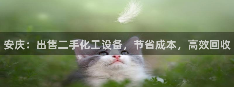 美狮科技有限公司