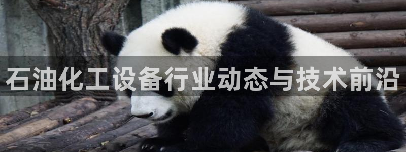 美狮科技有限公司