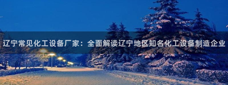美狮服装