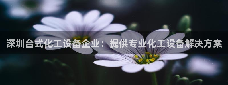 美狮会怎么赚钱