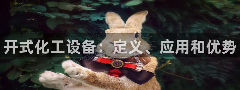美狮服装