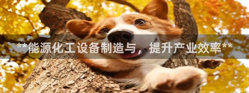 美狮贵宾会官网网址