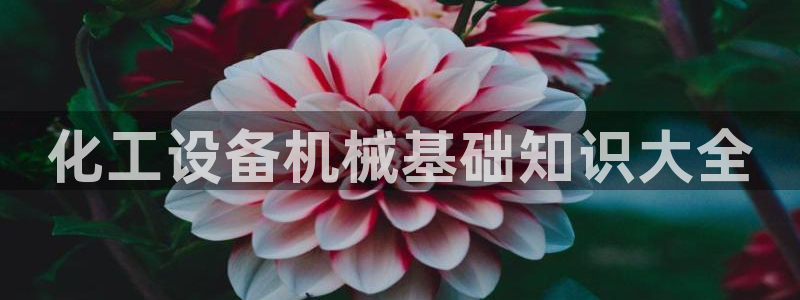 美狮贵宾会网页登陆