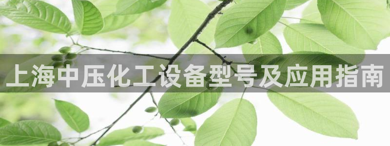 美狮传媒集团有限公司怎么样