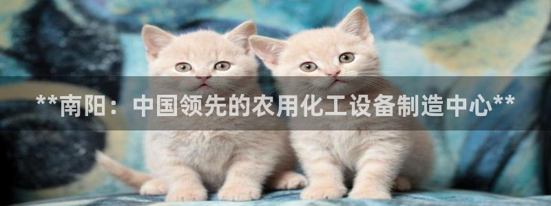 美狮科技
