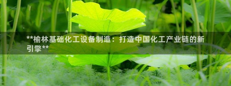 美国美狮集团