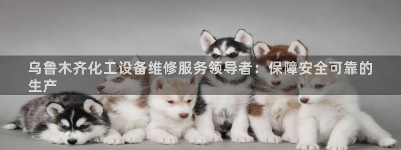 美狮会0627722