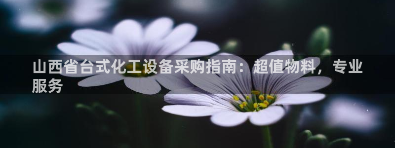 美国美狮集团