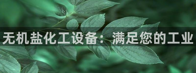 美狮传媒集团简介